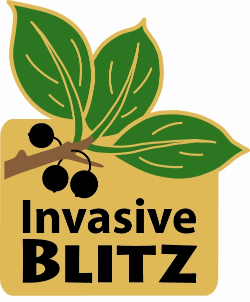 Invasive blitz pin