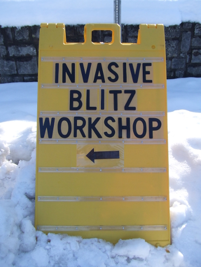 Invasive Blitz Students in Classroom